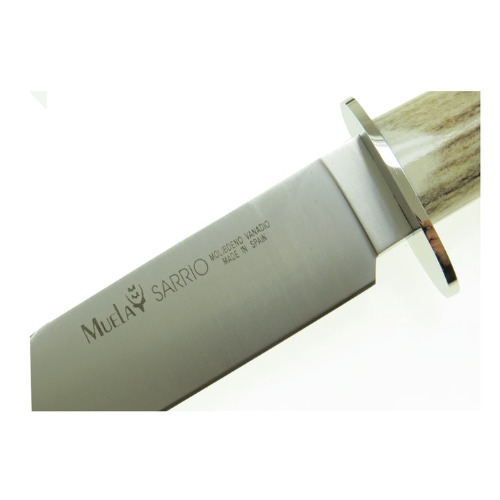 CUCHILLO MUELA DE CACERÍA SARRIO-19S MANGO DE HUESO